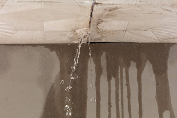 Professional Water Damage Repair technician working in Paris, IL